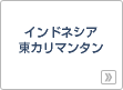 �C���h�l�V�A���J���}���^��